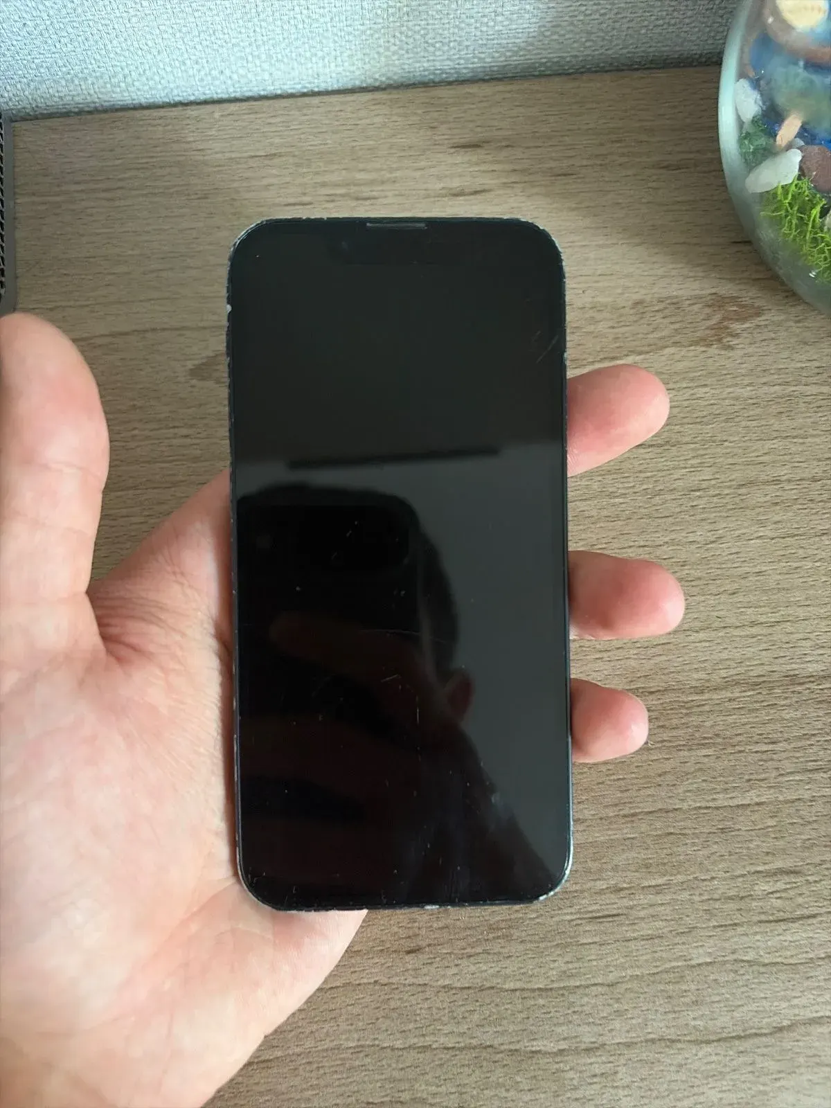 iPhone 13 mini